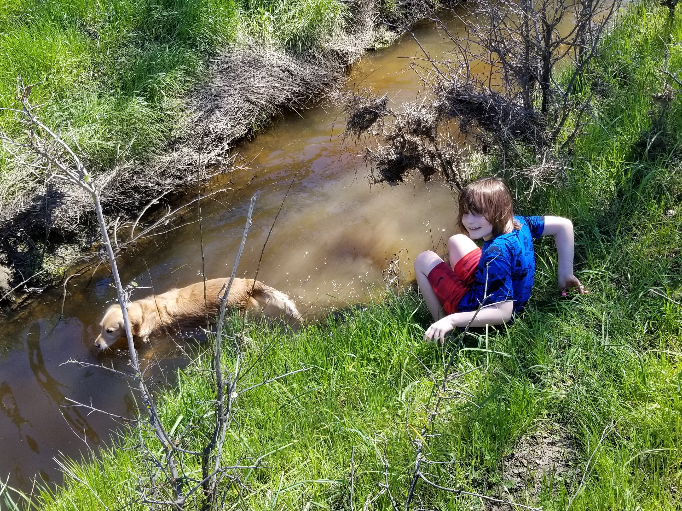 Walk along the creek with Shadow